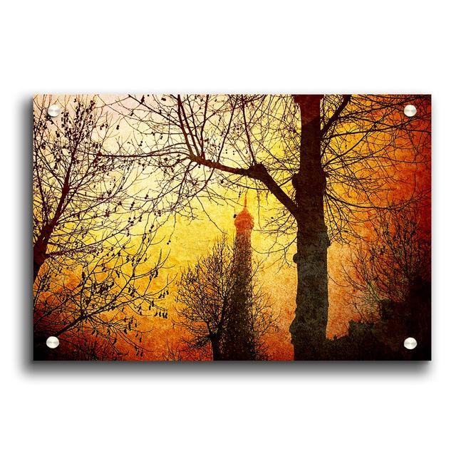 Eiffel Tower Through the Golden Trees - Unframed Photograph Print on Acrylic East Urban Home Size: 84.1cm H x 118.9cm W on Productcaster.