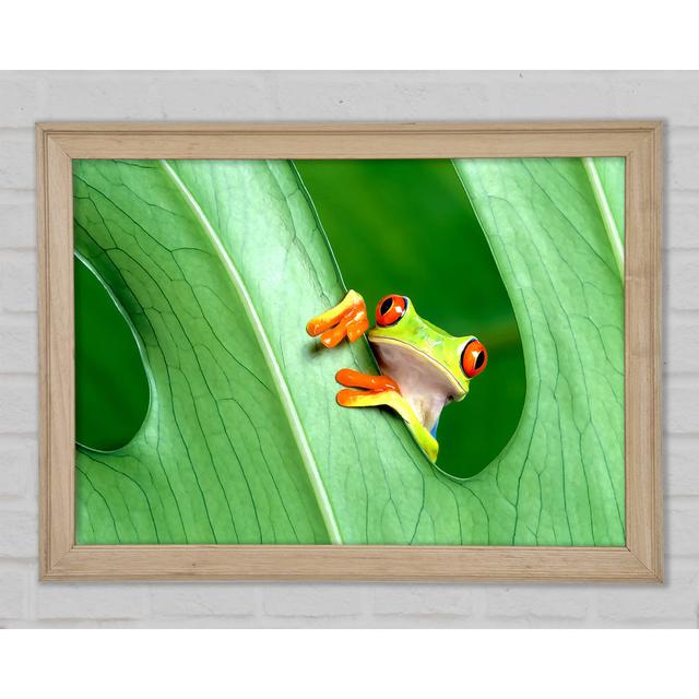 Frog - Print Ebern Designs Size: 59.7cm H x 84.1cm W x 1.5cm D on Productcaster.