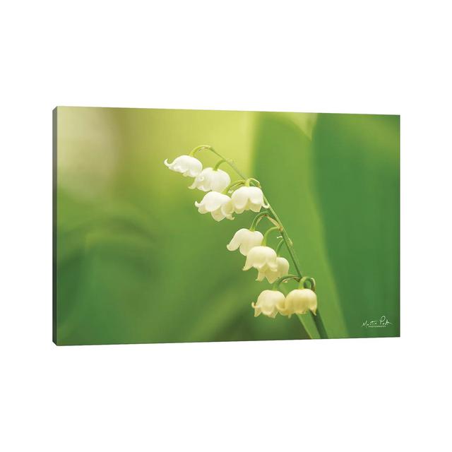 Lily of the Valley by Martin Podt - Wrapped Canvas Photograph Latitude Run Size: 30.48cm H x 45.72cm W x 1.91cm D on Productcaster.