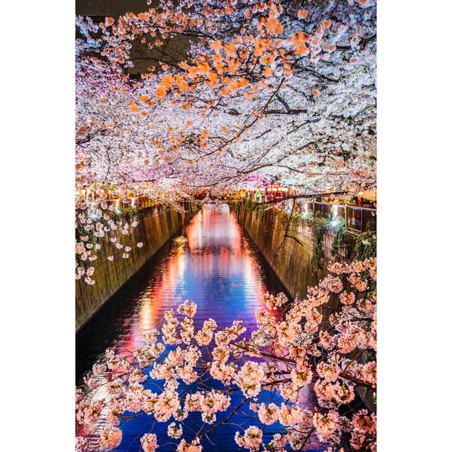 Cherry Blossoms Season In Tokyo, Japan by FilippoBacci - No Frame Art Prints on Canvas 17 Stories Size: 91cm H x 61cm W on Productcaster.