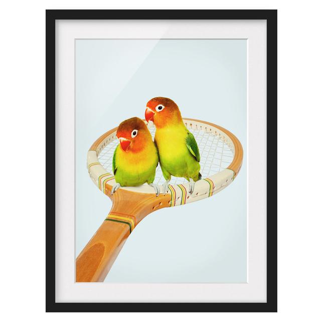 Tennis with Birds by Jonas Loose - Picture Frame Graphic Art Bay Isle Home Size: 55cm H x 40cm W x 2cm D, Frame Option: Grey Framed on Productcaster.