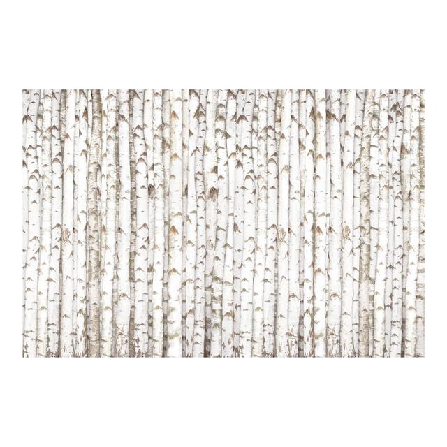 Birch Wall Semi-Gloss Wallpaper Roll East Urban Home Size: 2.88m x 190cm, Materialqualität: Premium (150g/m²) on Productcaster.