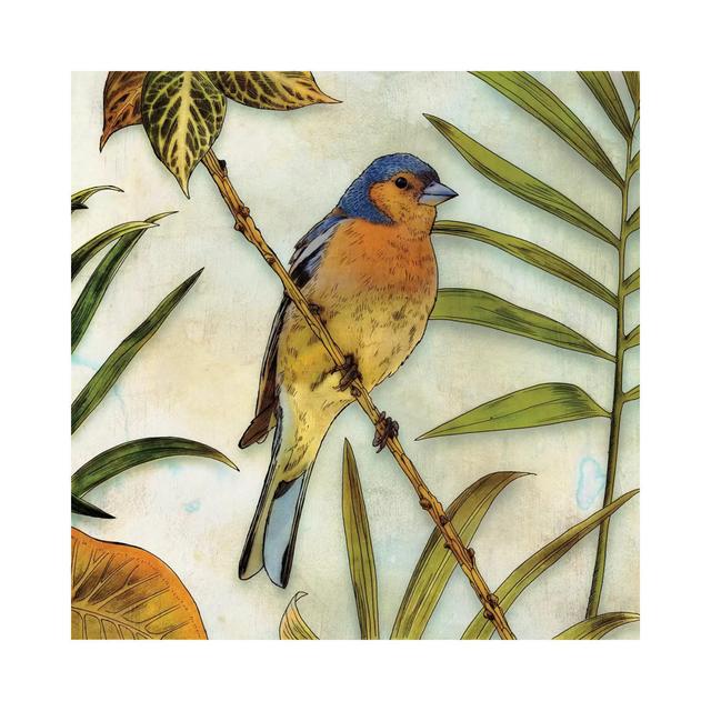 Jungle Bird II by Edward Selkirk - Wrapped Canvas Print ClassicLiving Size: 30.48cm H x 30.48cm W x 1.91cm D on Productcaster.