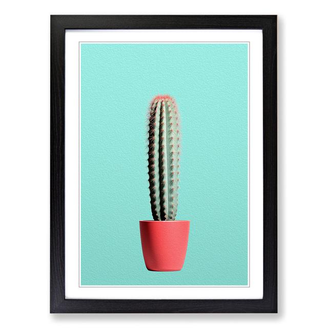 Cactus Minimalism No.2 - Single Picture Frame Art Prints on Wood Natur Pur Format: Black Framed, Size: 46cm H x 34cm W x 2cm D on Productcaster.