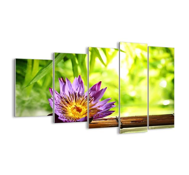 In the Asian Sun - 5 Piece Unframed Photograph Print Set on Glass Bloomsbury Market Size: 100cm H x 150cm W x 1.8cm D on Productcaster.