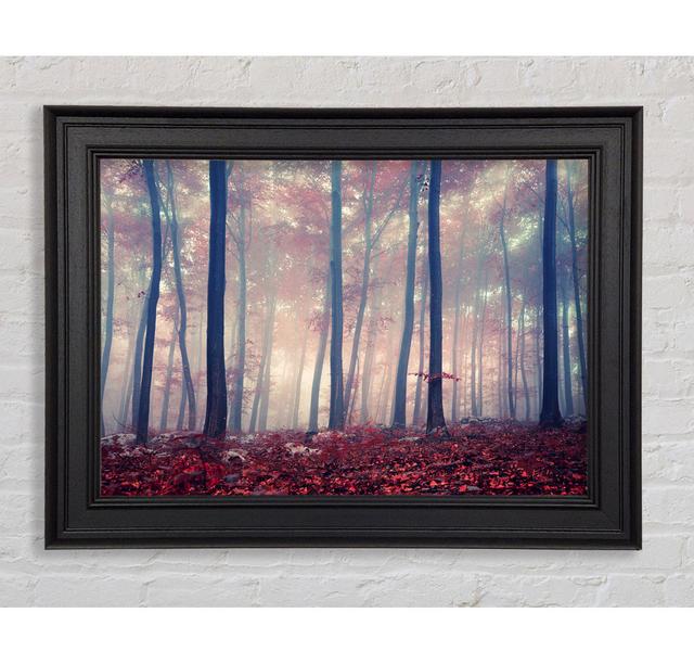 Misy In The Red Forest - Print Union Rustic Size: 100cm H x 141.4cm W x 8cm D on Productcaster.