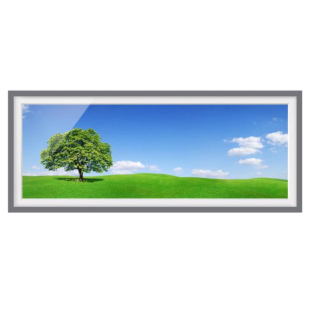 Panoramic - Picture Frame Graphic Art Ebern Designs Frame Option: Grey Framed, Size: 50cm H x 130cm W x 2cm D on Productcaster.