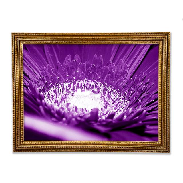 Single Picture Frame Art Prints Ebern Designs Size: 29.1cm H x 42cm W on Productcaster.