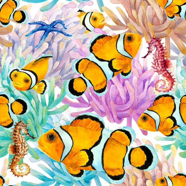 Ravalli Tropical Reef Clownfish - Wrapped Canvas Painting House of Hampton Size: 91cm H x 91cm W x 3.8cm D on Productcaster.