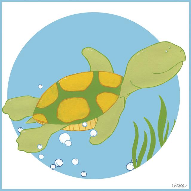 Timothy the Turtle by June Erica Vess - Wrapped Canvas Graphic Art Bay Isle Home Size: 51cm H x 51cm W x 3.8cm D on Productcaster.