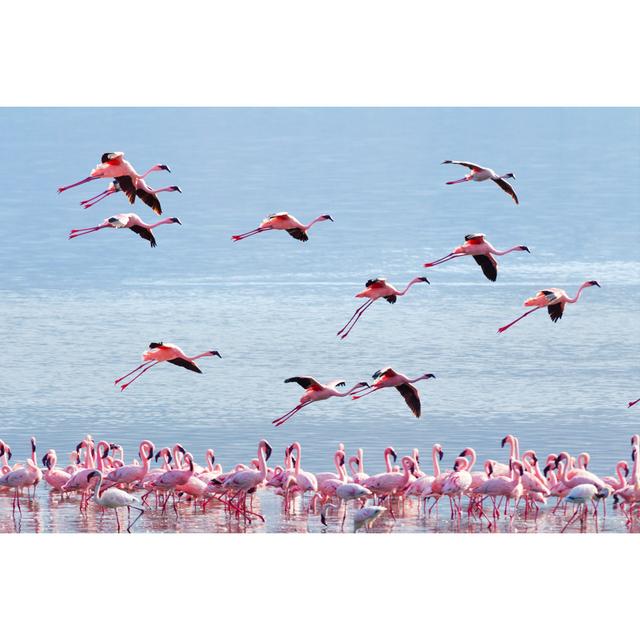 Flamingo Near Bogoria Lake by Ivanmateev - Wrapped Canvas Print 17 Stories Size: 20cm H x 30cm W on Productcaster.