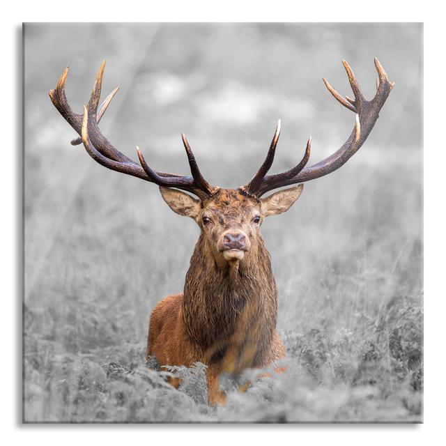 Large Deer In A Field - No Frame Print on Glass Union Rustic Size: 60cm H x 60cm W x 0.4cm D on Productcaster.