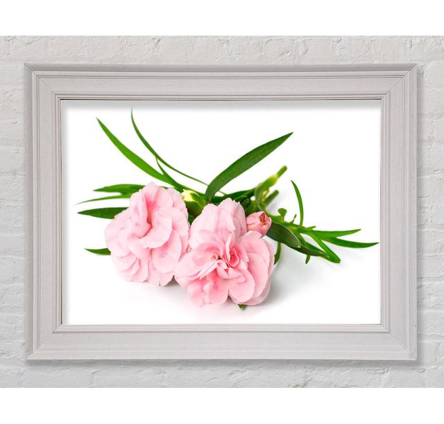 Pink Flowers Laid Out - Single Picture Frame Art Prints Ebern Designs Size: 29.7cm H x 42cm W x 8cm on Productcaster.