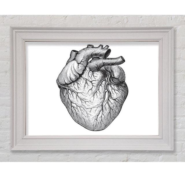 Gerahmtes Leinwandbild Anatomy Of The Heart Haus am Meer Größe: 42cm H x 59,7cm B on Productcaster.