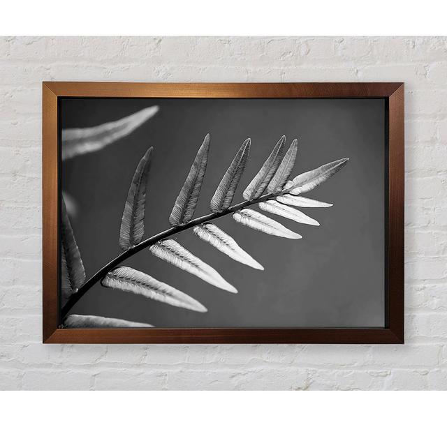 Grey Leaves - Single Picture Frame Art Prints Bright Star Size: 100cm H x 141.4cm W x 3.4cm D on Productcaster.