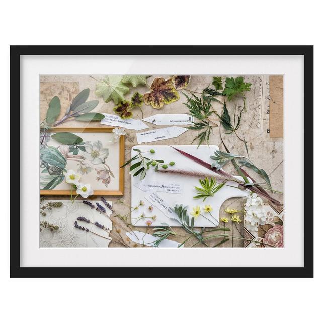 Vintage Flowers and Herbs Framed Graphic Art Print East Urban Home Frame Options: Matt black, Size: 40cm H x 55cm W on Productcaster.