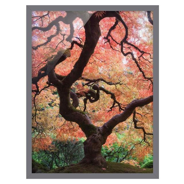 Japanese Garden - Picture Frame Graphic Art Union Rustic Frame Option: Grey Framed, Size: 100cm H x 70cm W x 2cm D on Productcaster.