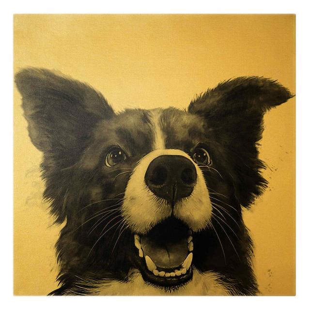 Gold - Illustration Dog Border Collie Black and White by Laura Graves - Wrapped Canvas Graphic Art Rosalind Wheeler on Productcaster.