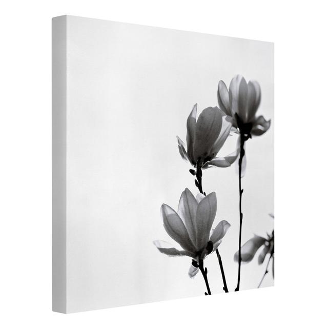 Harbinger of Spring - Wrapped Canvas Art Print Rosalind Wheeler Format: Recycled Canvas 330g/m², Colour: White, Size: 70cm H x 70cm W on Productcaster.