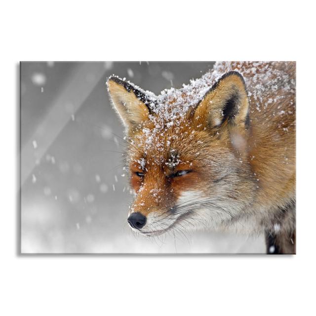 Beautiful Fox In The Snow - No Frame Print on Glass Union Rustic Size: 60cm H x 80cm W x 0.4cm D on Productcaster.