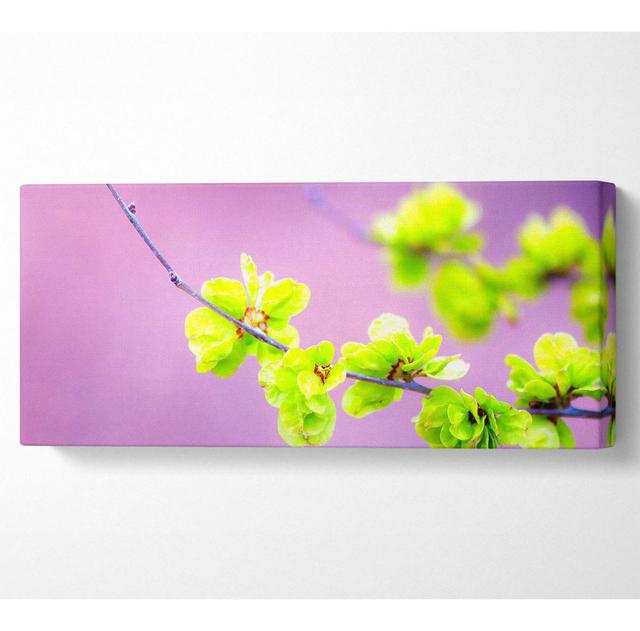 Small Green Flowers - Wrapped Canvas Art Prints Rosalind Wheeler Size: 71cm H x 162.5cm W x 10cm D on Productcaster.