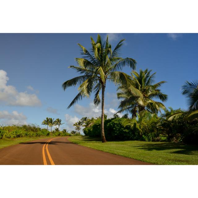 Tropical Highway On Kauai by Wildroze - No Frame Art Prints on Canvas 17 Stories Size: 30cm H x 46cm W on Productcaster.