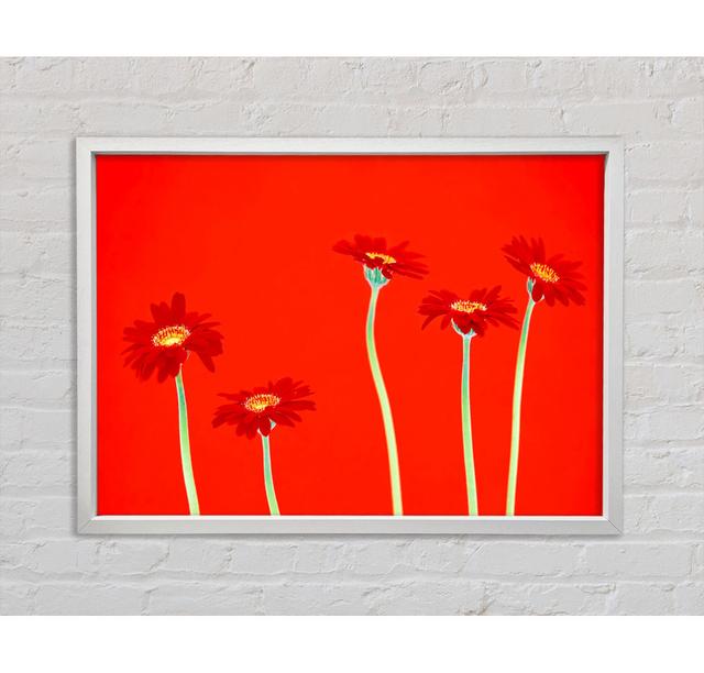 Red Daisies On Orange Framed Print Ebern Designs Size: 59.7cm H x 84.1cm W on Productcaster.