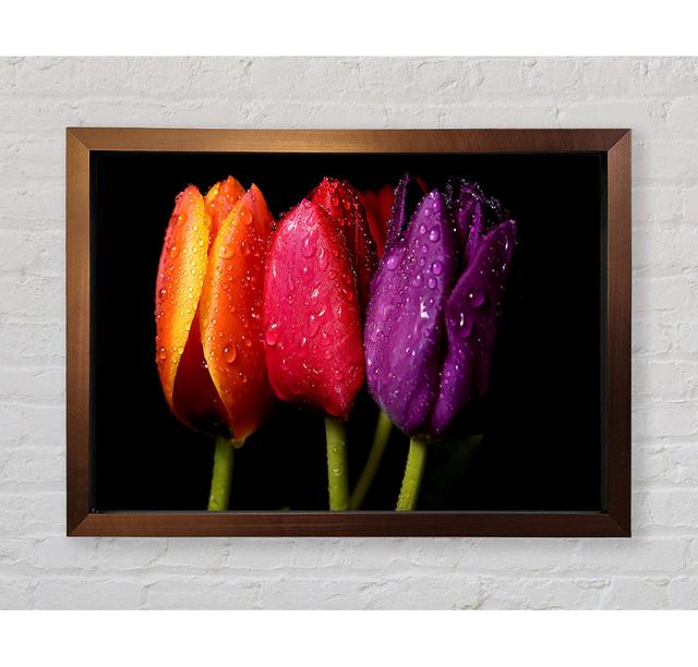 Colourful Tulips - Print Bright Star Size: 59.7cm H x 84.1cm W x 3.4cm D on Productcaster.