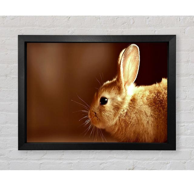 Bunny Whiskers - Print August Grove Size: 100cm H x 141.4cm W x 3.4cm D on Productcaster.