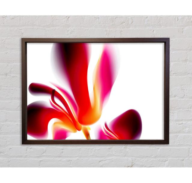 Raspberry Ripple Framed Print Ebern Designs Size: 100cm H x 141.4cm W x 3.3cm D on Productcaster.