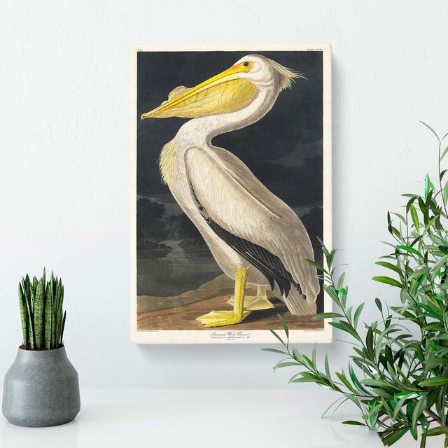 American White Pelican by John James Audubon - Wrapped Canvas Painting Print East Urban Home Size: 60cm H x 40cm W x 3cm D on Productcaster.