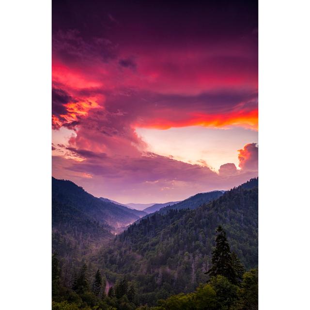 Sunset in the Smokies by AndrewSoundarajan - Wrapped Canvas Photograph Alpen Home Size: 91cm H x 61cm W on Productcaster.