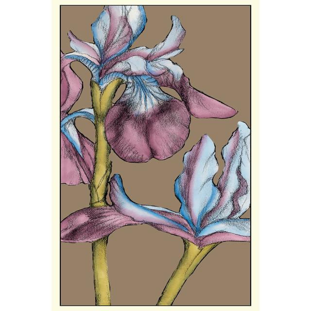 Graphic Flower Panel III - Wrapped Canvas Print Rosalind Wheeler Size: 91cm H x 61cm W x 3.8cm D on Productcaster.