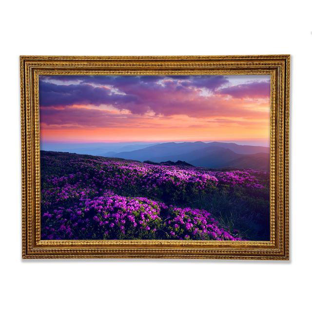 Purple Meadow Mountains - Single Picture Frame Art Prints Union Rustic Size: 59.1cm H x 84.1cm W x 3cm D on Productcaster.