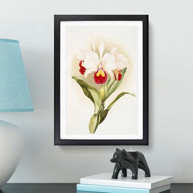 Magnolia Flowers Illustration Tab. 46 by Frederick Sander - Picture Frame Painting Print East Urban Home Frame Option: Black, Size: 60cm H x 40cm W x on Productcaster.