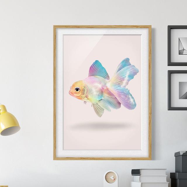 Fish in Pastel by Jonas Loose - Picture Frame Graphic Art on Paper Bay Isle Home Size: 55cm H x 40cm W x 2cm D, Frame Option: Brown Framed on Productcaster.