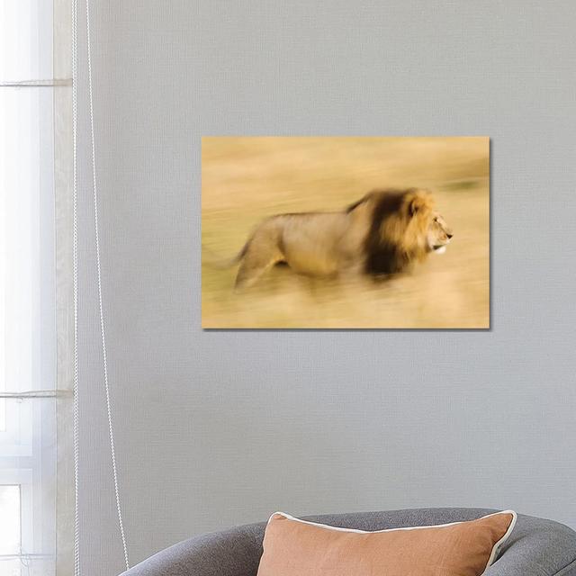 Africa, Kenya, Maasai Mara Motion Blur Of Walking Male Lion by Jaynes Gallery - Wrapped Canvas Print Brayden Studio on Productcaster.