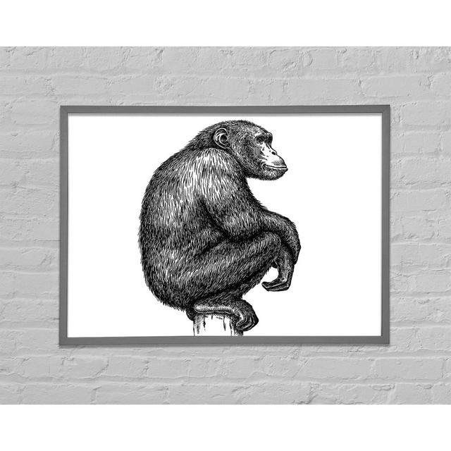 Chimpanzee Sitting - Single Picture Frame Art Prints Latitude Vive Size: 59.7cm H x 84.1cm W on Productcaster.