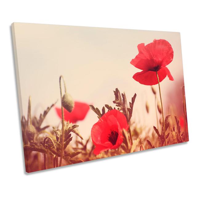 Vintage Poppy Flowers Floral CANVAS WALL ART Framed Print Ebern Designs Size: 50.8cm H x 76.2cm W x 2cm D on Productcaster.