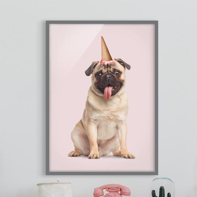 Picture With Frame - Jonas Loose - Pug With Ice Cream Waffle - Portrait 4:3 - A Happy Larry Frame Option: Grey Framed, Size: 70cm H x 50cm W x 2cm D on Productcaster.