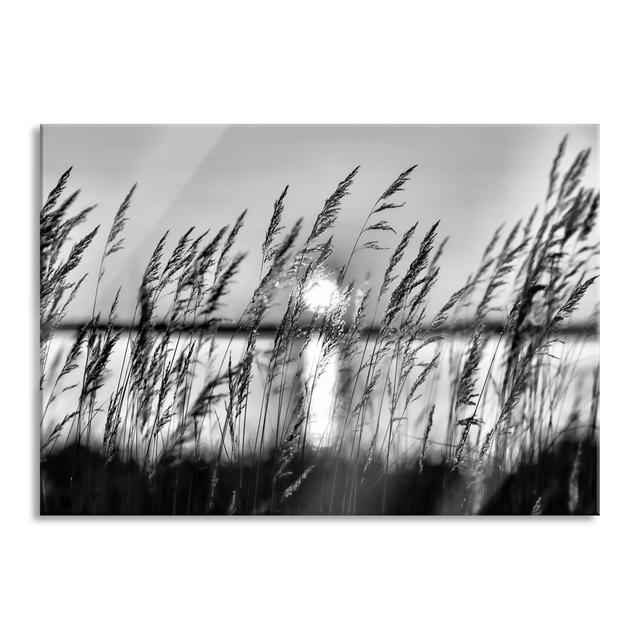 Sun On The Grass - No Frame Print on Glass Brayden Studio Size: 70cm H x 100cm W x 0.4cm D on Productcaster.