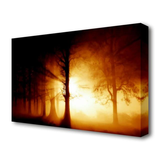 Sunlight Through The Forest Forest Canvas Print Wall Art East Urban Home Size: 50.8 cm H x 81.2 cm W on Productcaster.