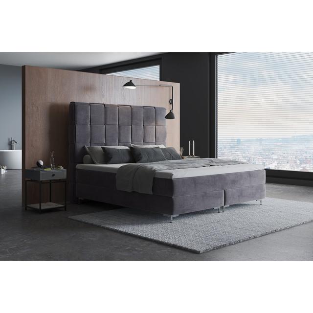 Echtes Boxspringbett Sade mit Premium Visco Topper, mit Samtstoff bezogen Canora Grey Matratzenhärte: H4 - ab etwa 100 kg, Farbe: Hellgrau, Größe: 100 on Productcaster.