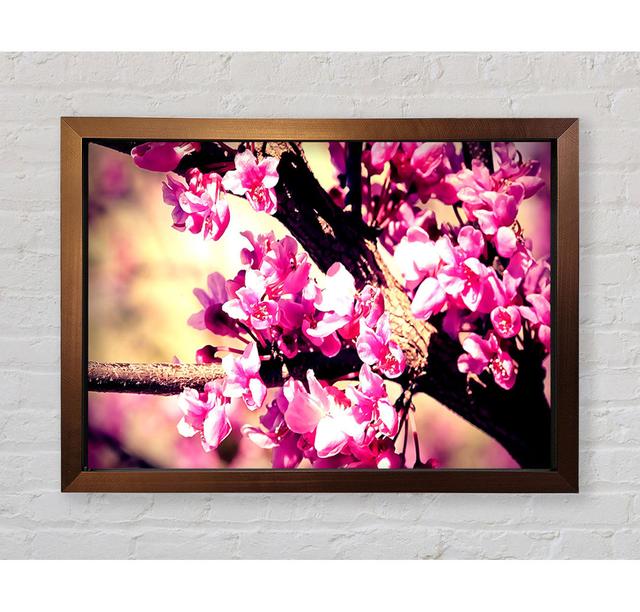 Pink Blossom - Single Picture Frame Art Prints Bright Star Size: 100cm H x 141.4cm W x 3.4cm D on Productcaster.