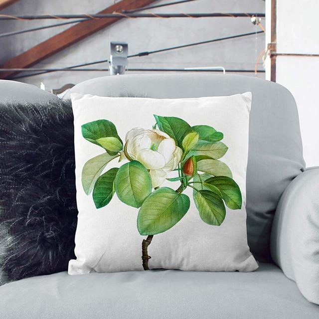 Blooming Magnolia Tree By Pierre-Joseph Redoute East Urban Home Size: 55cm H x 55cm W x 20cm D on Productcaster.