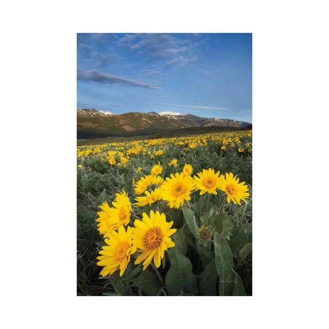 Methow Valley Wildflowers III WAC7502-1PC3 August Grove Size: 45.72cm H x 30.48cm W x 1.91cm D on Productcaster.