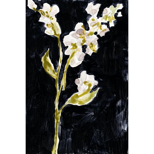 Midnight Phlox II by Jennifer Goldberger - Wrapped Canvas Art Prints Rosalind Wheeler Size: 46cm H x 30cm W on Productcaster.