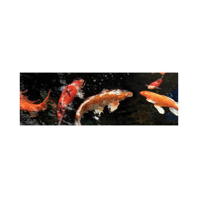 Colorful Koi Fish IV - Wrapped Canvas Panoramic Photograph Bay Isle Home Size: 30.48cm H x 91.44cm W x 1.91cm D on Productcaster.