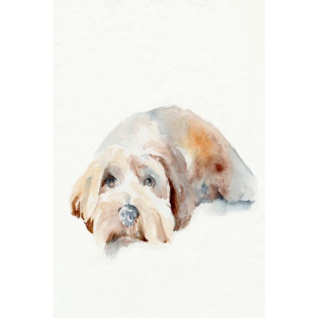 Scruffy Puppy II - Wrapped Canvas Painting Rosalind Wheeler Size: 76cm H x 51cm W on Productcaster.