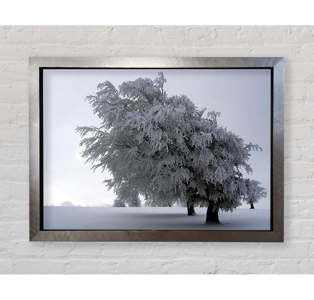 In The Dead Of Winter - Single Picture Frame Art Prints Bright Star Size: 42cm H x 59.7cm W x 3.4cm D on Productcaster.